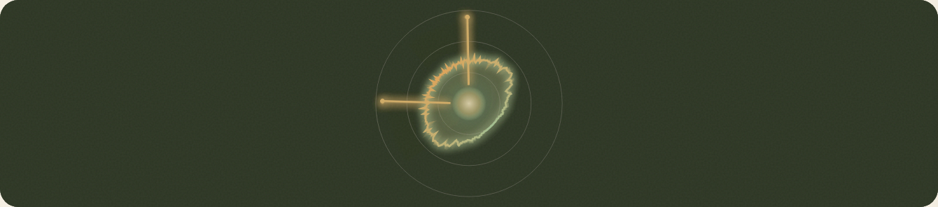 Bloom visualization of the tinnitus signal